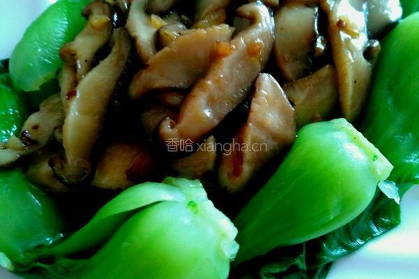 蚝油香菇油菜的做法图解15