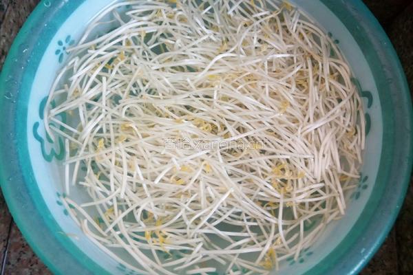 酸辣豆芽菜的做法图解1