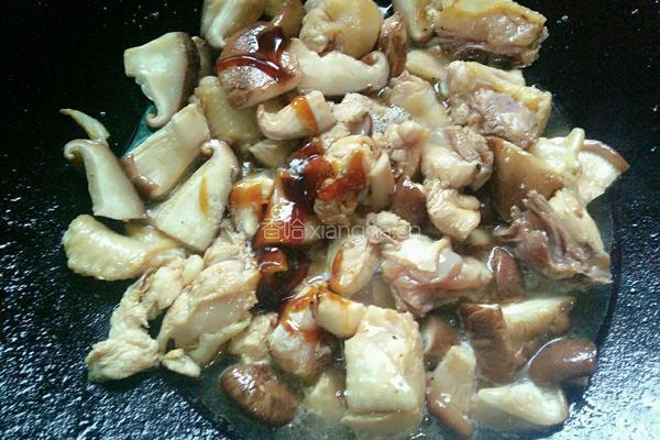 香菇鸡肉的做法图解9