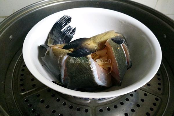 清蒸桂鱼的做法图解5