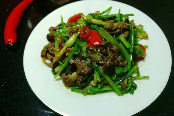 香菜炒牛肉丝的做法图解8