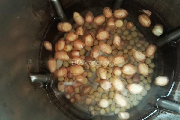 黄豆花生浆的做法图解4