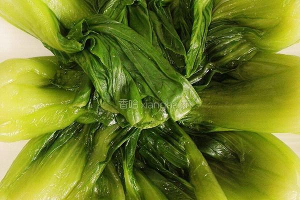 香菇油菜的做法图解4