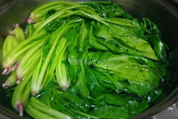 凉拌菠菜的做法图解4
