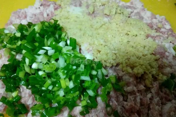 蒸肉丸的做法图解3
