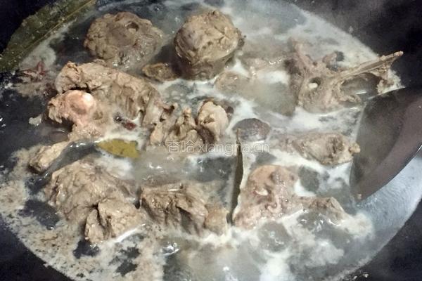 红烧羊肉的做法图解3