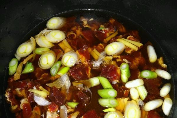 茄汁牛腩汤的做法图解4