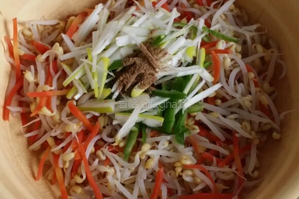 凉拌豆芽的做法图解4