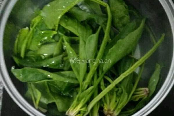 蛋酱菠菜的做法图解2