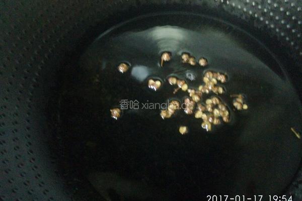 蚝油大白菜的做法图解4