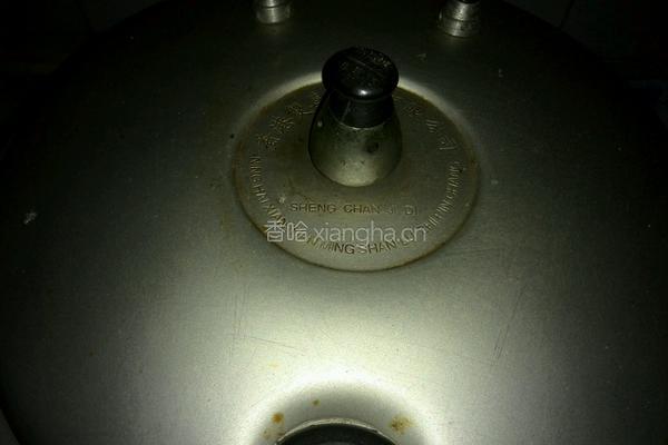 清炖羊肉的做法图解4