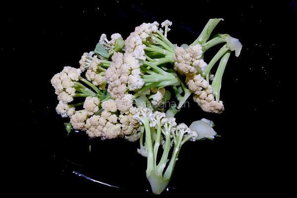 百花争艳的做法图解4