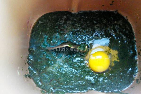 菠菜面豆沙小餐包的做法图解2