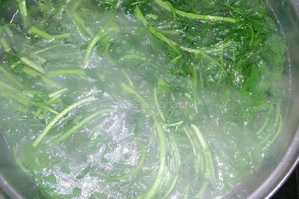 白灼西洋菜的做法图解7