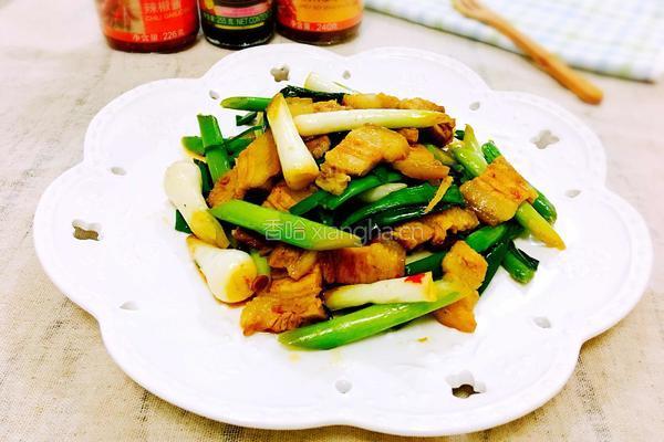 香蒜辣炒回锅肉的做法图解12