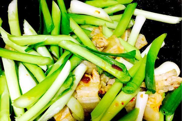 香蒜辣炒回锅肉的做法图解9