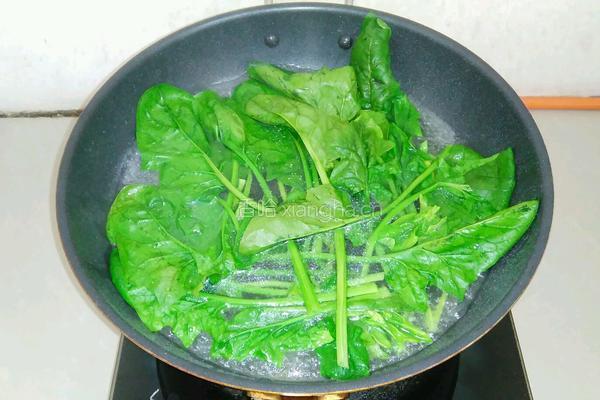 菠菜拌粉丝的做法图解4