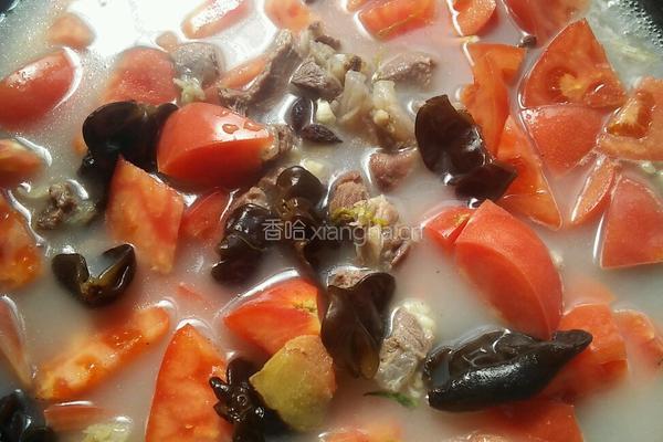 牛肉炖柿子的做法图解6