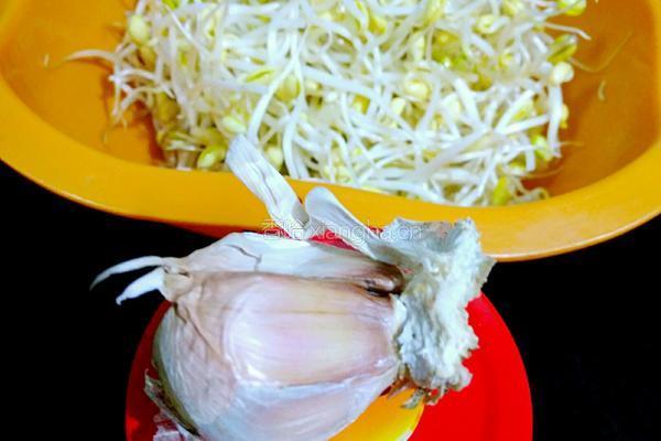 蒜蓉黄豆芽的做法图解2