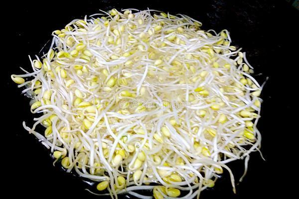 蒜蓉黄豆芽的做法图解3