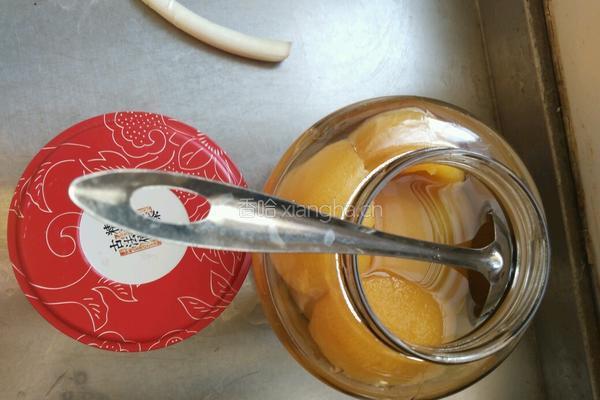 蜜桃果汇茶的做法图解1