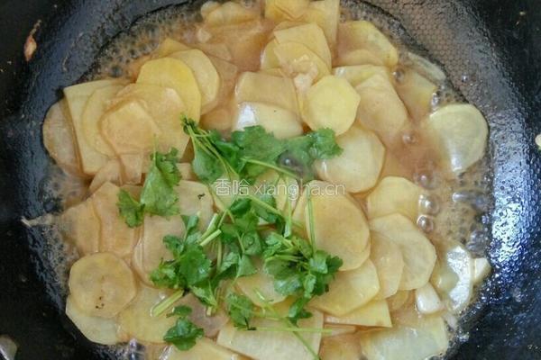 素炒土豆片的做法图解5