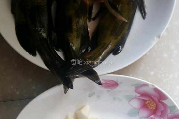 酱炖黄辣丁的做法图解1