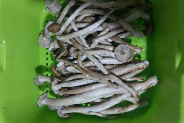 茶树菇五花肉的做法图解2