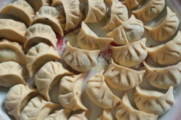苜蓿饺子