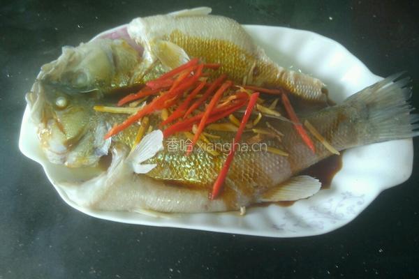 豉油蒸鲈鱼的做法图解12