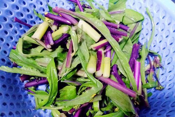 清炒红油菜苔的做法图解1