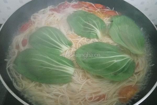 西红柿鸡蛋面的做法图解9