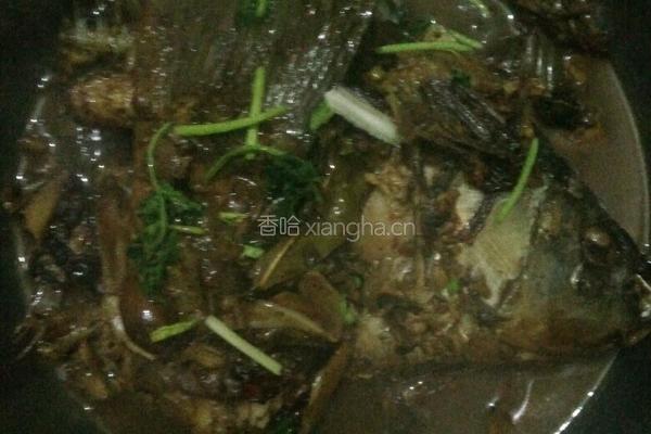 家常红烧鲤鱼的做法图解6