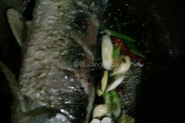 家常红烧鲤鱼的做法图解3