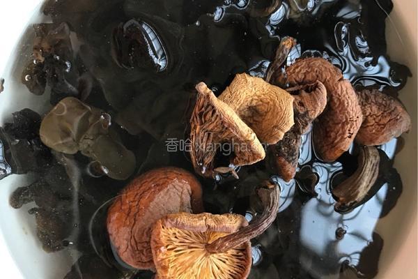 石锅红烧排骨的做法图解1