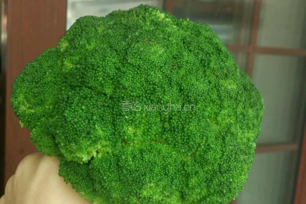 素炒西蓝花的做法图解2