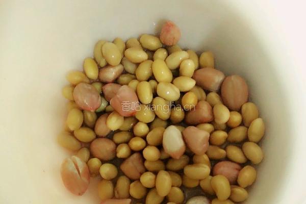 花生枸杞红枣豆浆的做法图解4