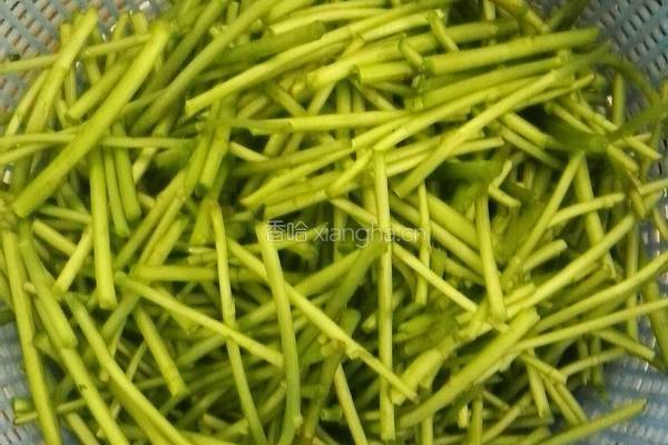 芦蒿炒肉丝的做法图解1