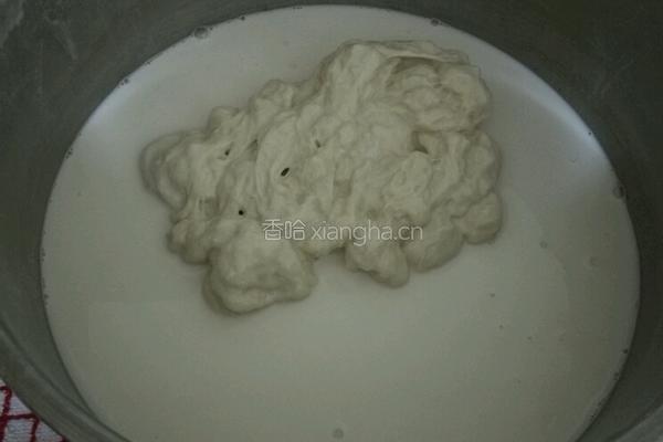 洗面筋的制作过程的做法图解13