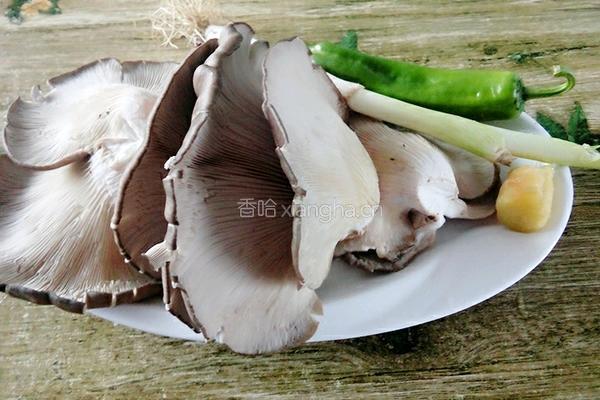 素炒平菇的做法图解1