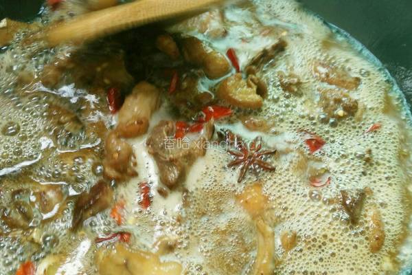 美味啤酒鸭的做法图解9