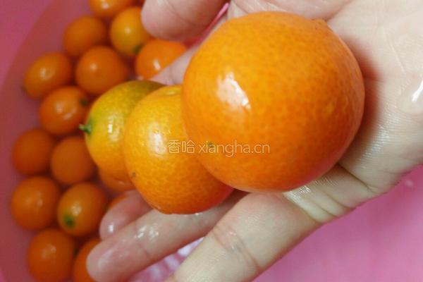冰糖金桔的做法图解1