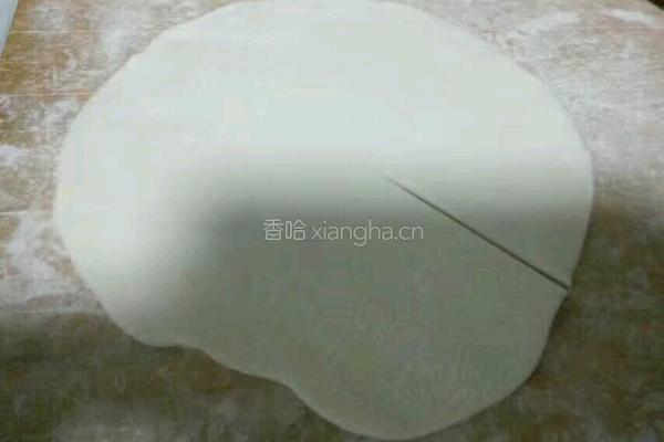 白菜猪肉肉饼的做法图解7