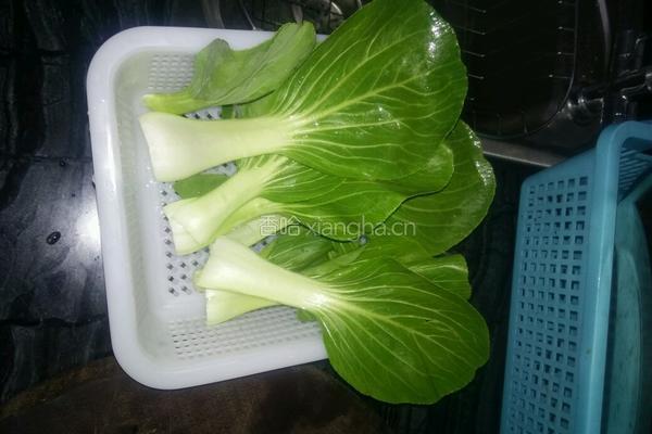 椒丝肉片炒面的做法图解3