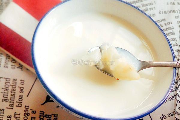 牛奶马蹄露的做法图解6