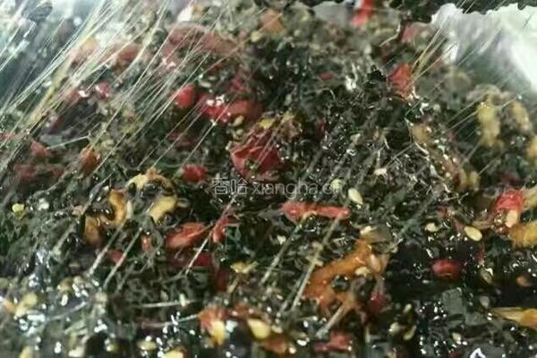 即食阿胶糕 固元糕的做法图解12