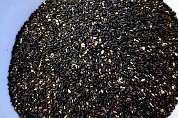 即食阿胶糕 固元糕的做法图解6