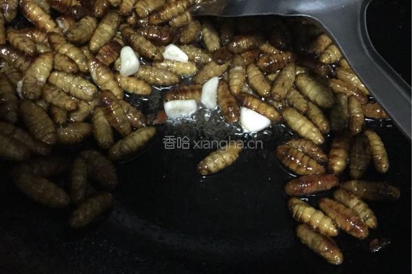 炸蚕蛹的做法图解5