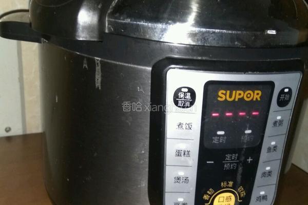 肉松的做法图解2