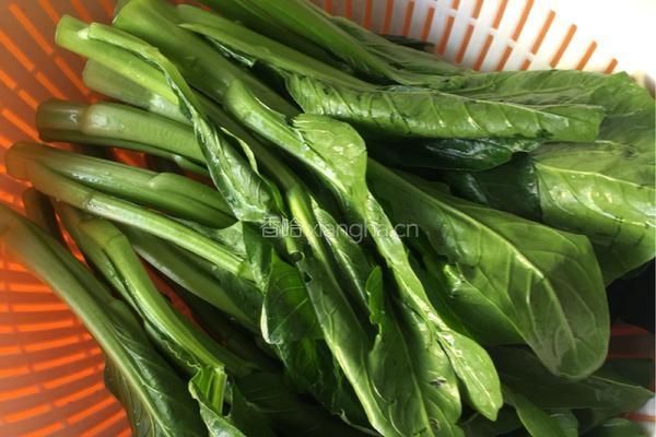 盐水菜心的做法图解1
